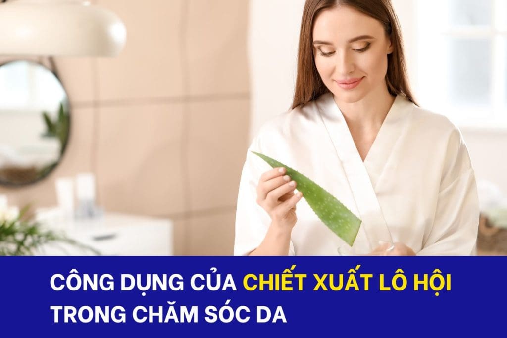 Công dụng của chiết xuất lô hội trong chăm sóc da
