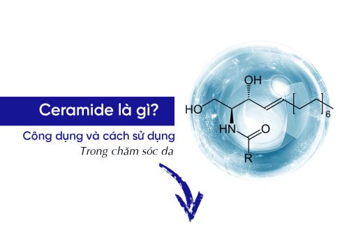 Ceramide là gì và công dụng của Ceramide trong chăm sóc da