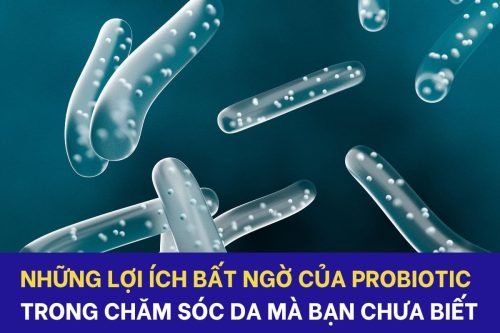 Những lợi ích của Probiotic trong chăm sóc da